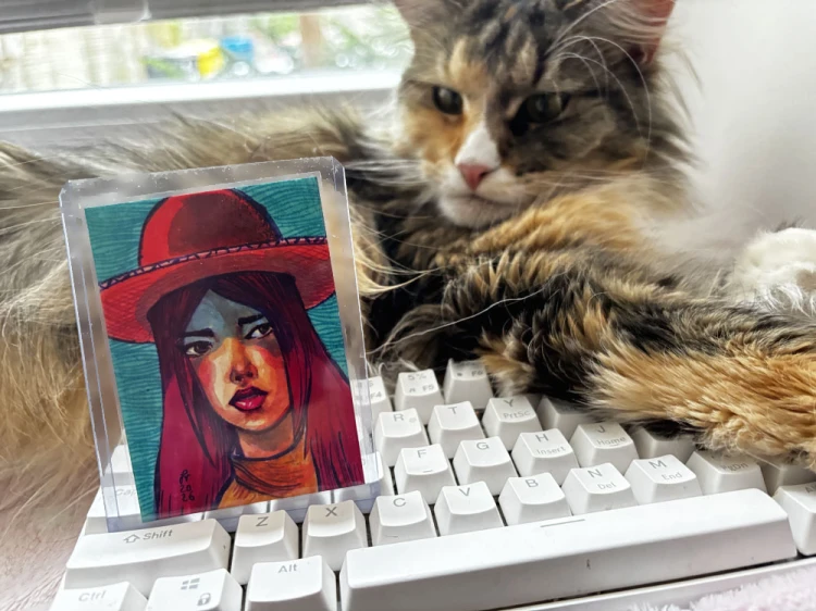 aria2.jpg